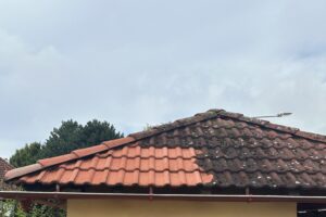 Čištění povrchů Pardubice