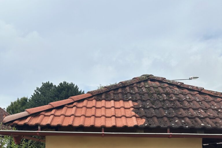 Čištění povrchů Pardubice