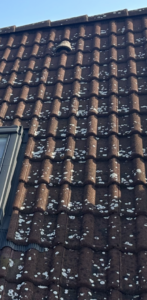 Čištění střech Pardubice