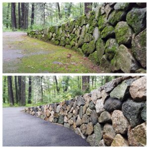 čištění plotů a zdí Mladá Boleslav