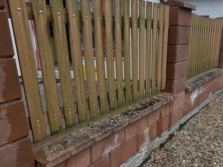 čištění plotů a zdí Brno