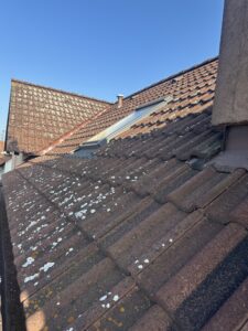 čištění střech Jihlava