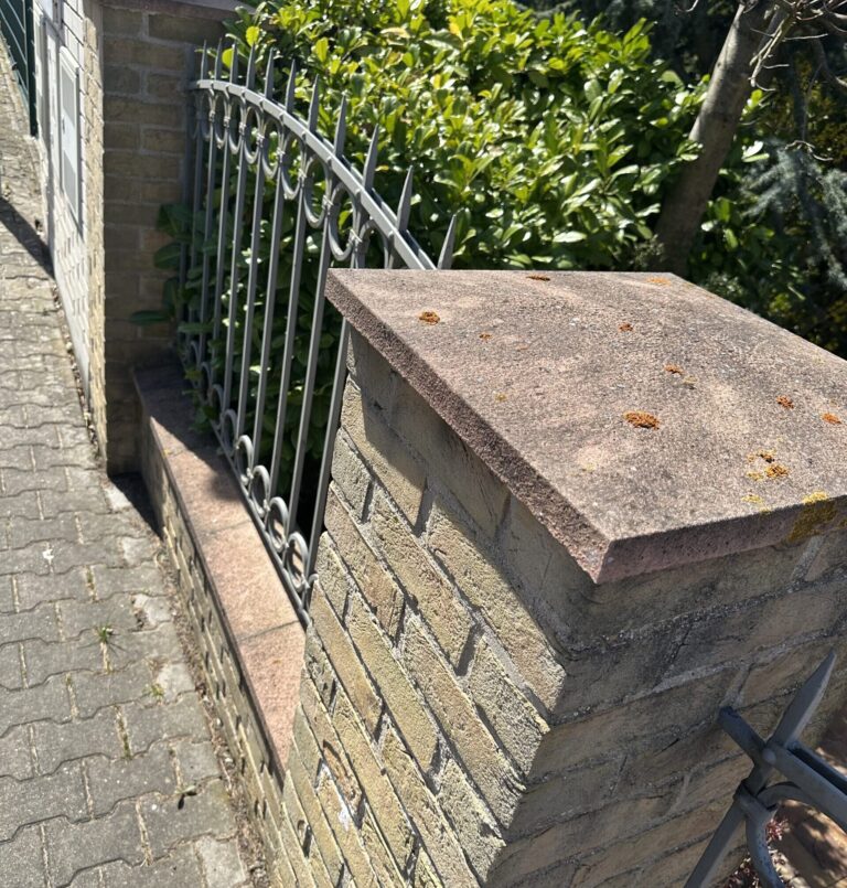 čištění plotů a zdí Brno