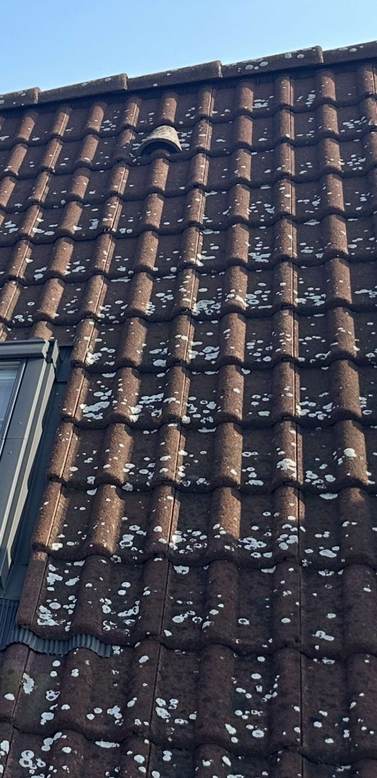 čištění střechy