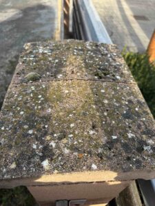 čištění plotů a zdí Mladá Boleslav