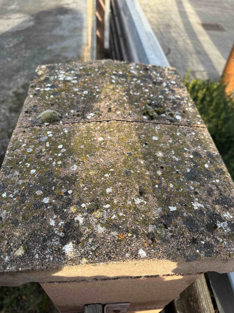 čištění plotů a zdí Mladá Boleslav